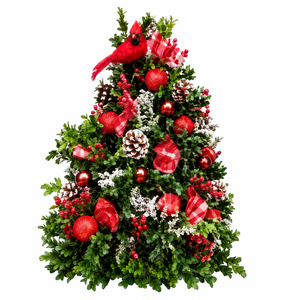 Sun Dec 06 Traditional Boxwood Tree 261206091